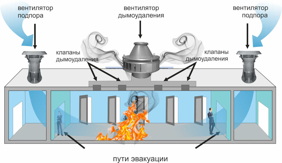 Сколько клапанов в шеснаре